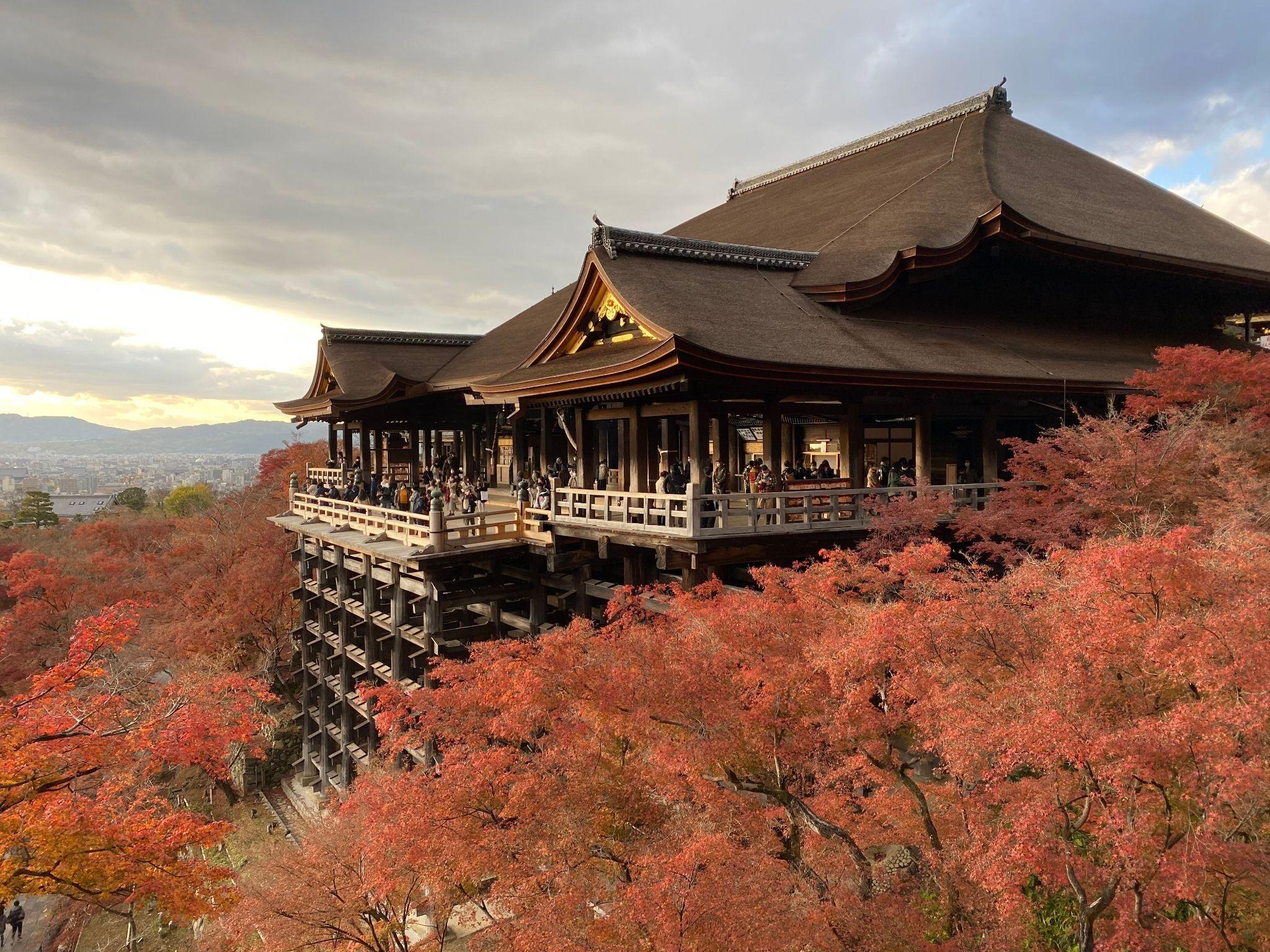 Best Kyoto Autumn Temple Guide—Where to See Stunning Red Leaves