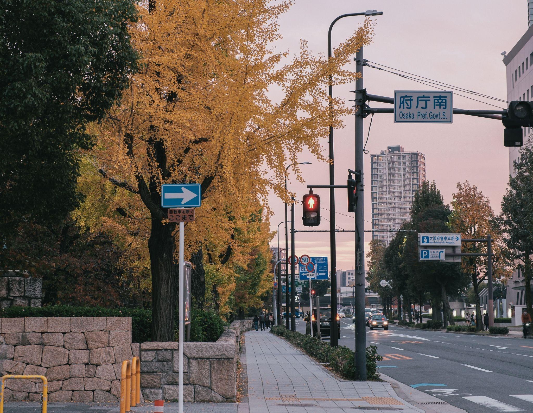 Best Foliage, Views, and Visiting Tips at Osaka Castle in Autumn