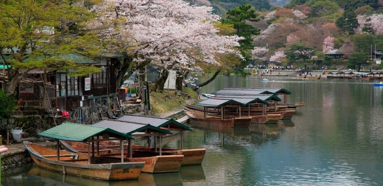 I 7 luoghi più suggestivi di Kyoto per ammirare la fioritura dei ciliegi e i consigli degli esperti locali.
