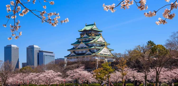 7 posti migliori per ammirare la fioritura dei ciliegi a Osaka