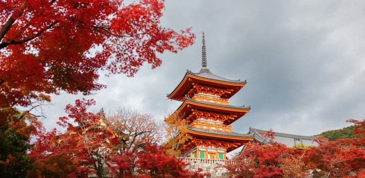 Best Months, Weather, and Golden Leaves During Autumn in Japan