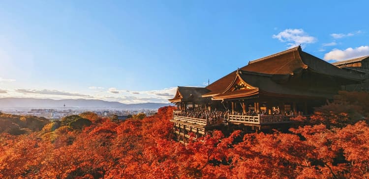 Best Places, Things to Do, & Tips During Autumn in Kyoto