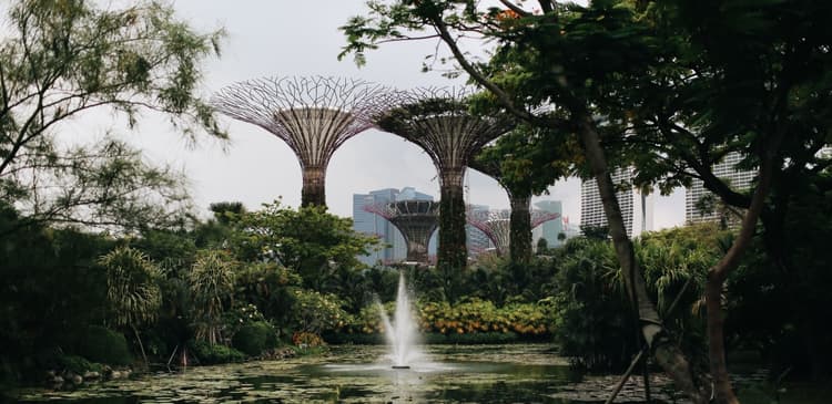 Exploring Nature in the City at Singapore Botanic Gardens