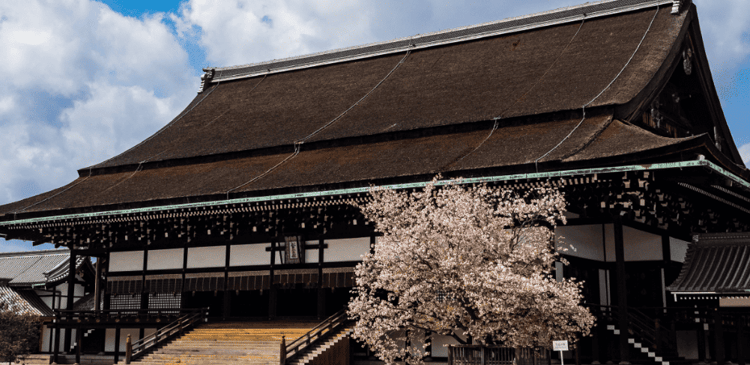 Top Places to Visit in Kyoto: A First-Time Visitor's Guide to Japan's Cultural Capital