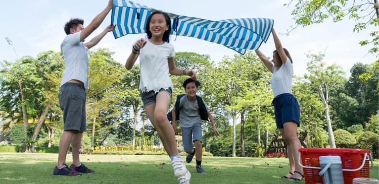 The Ultimate 10-Day Japan Family Itinerary: From Bright Lights to Hidden Gems