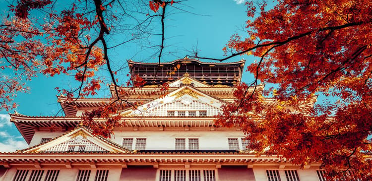 Japan Autumn Itinerary 7 Days: Nagoya, Kyoto, and Osaka