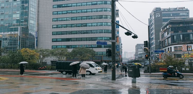Guida al clima di Seoul — periodi migliori per visitarla, stagioni e cosa mettere in valigia
