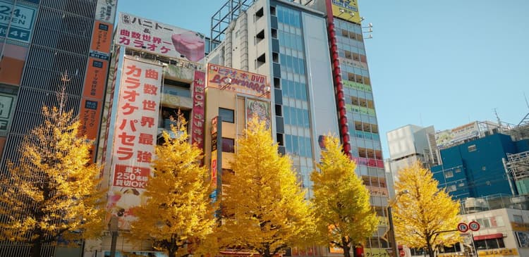 Osaka Dotonbori Autumn Guide: Neon Nights, Food, and Evening Walks