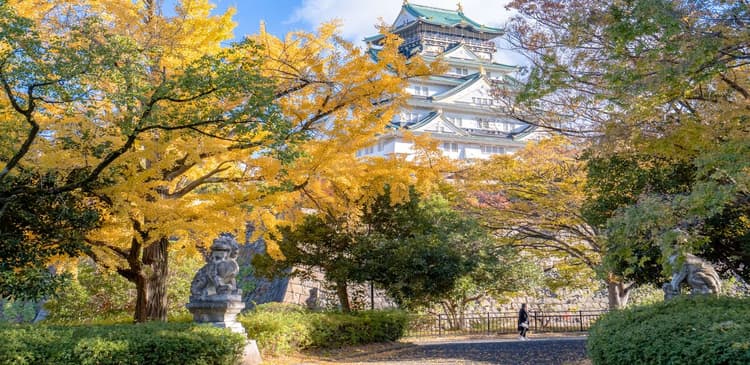 Best Foliage, Views, and Visiting Tips at Osaka Castle in Autumn