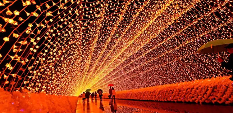 Osaka by Day, Nagoya by Night: A Dual-City Festival Guide