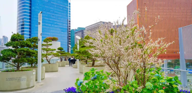 Things to Know Before Staying at a Seoul Accommodation
