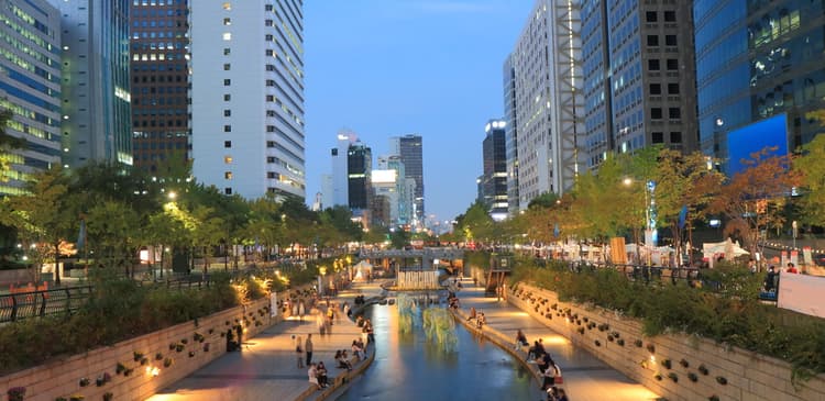 How Seoul's Cheonggyecheon Stream Comes Alive Every Autumn