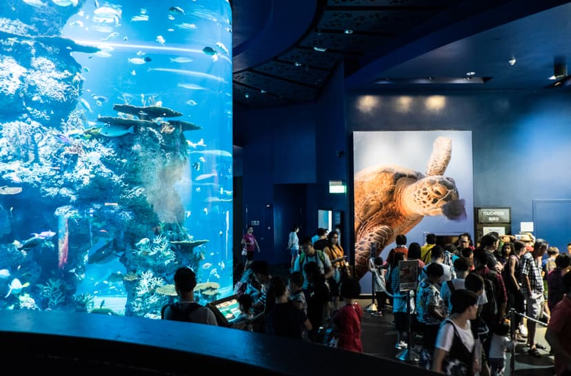 singapore oceanarium, formerly sea aquarium 