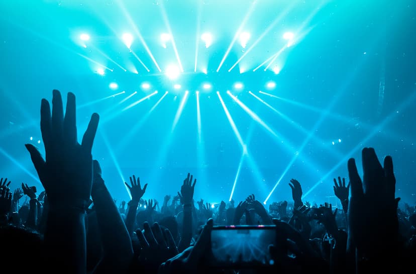 concert crowd