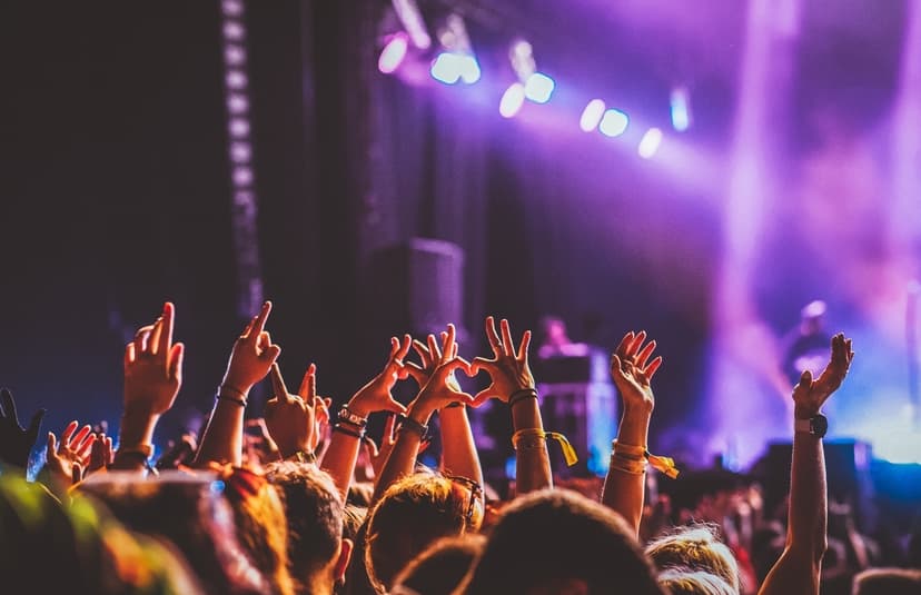 concert crowd