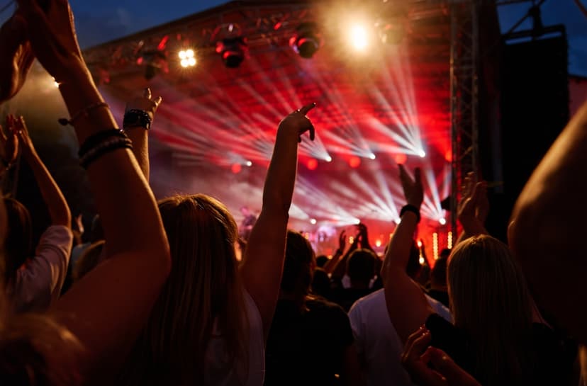 concert crowd