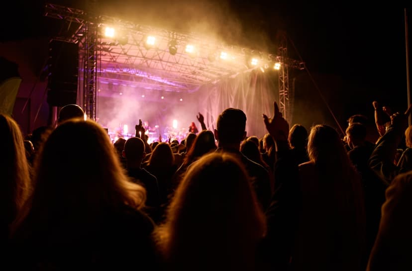 concert crowd