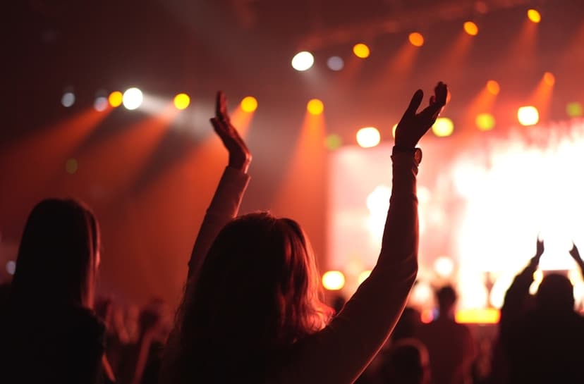 concert crowd